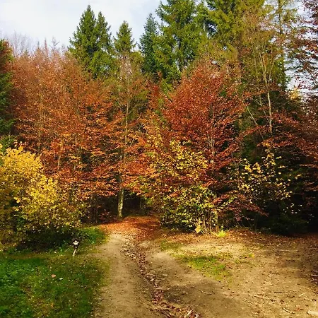 Domek U Macieja * Grywald