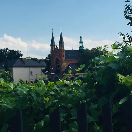 Domek U Macieja *